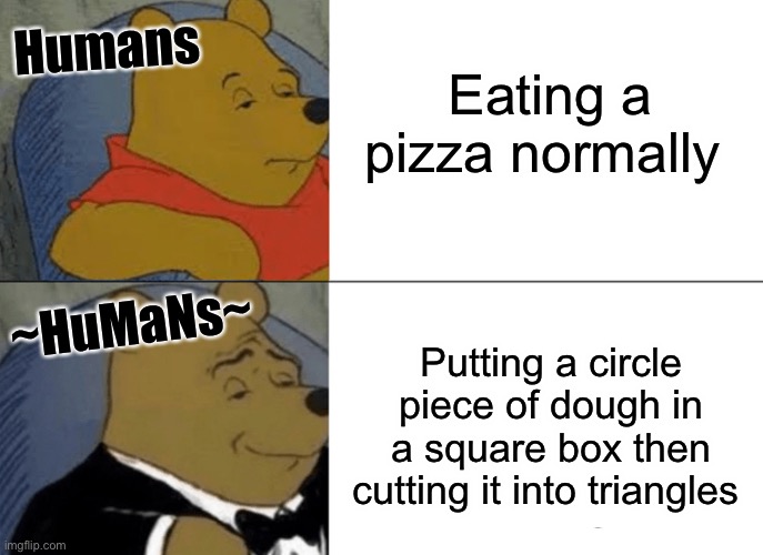 Tuxedo Winnie The Pooh | Humans; Eating a pizza normally; ~HuMaNs~; Putting a circle piece of dough in a square box then cutting it into triangles | image tagged in memes,tuxedo winnie the pooh | made w/ Imgflip meme maker