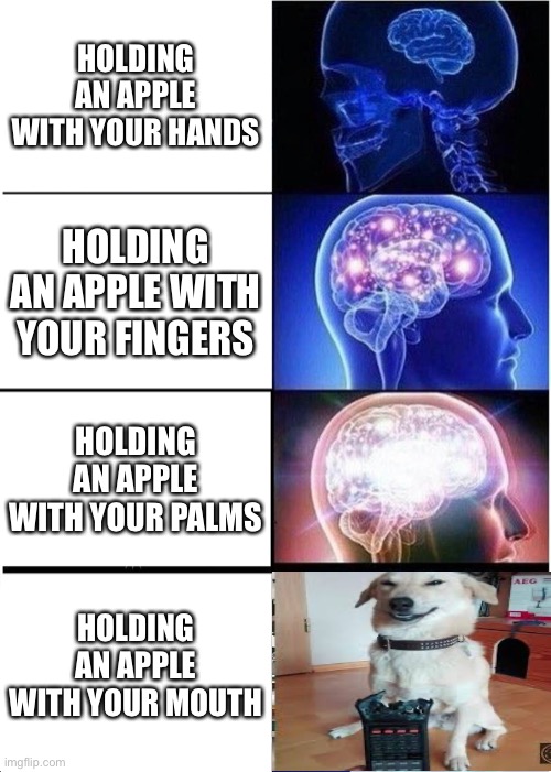 Expanding Brain Meme | HOLDING AN APPLE WITH YOUR HANDS; HOLDING AN APPLE WITH YOUR FINGERS; HOLDING AN APPLE WITH YOUR PALMS; HOLDING AN APPLE WITH YOUR MOUTH | image tagged in memes,expanding brain | made w/ Imgflip meme maker