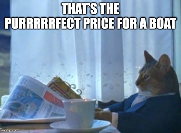I Should Buy A Boat Cat | THAT’S THE PURRRRRFECT PRICE FOR A BOAT | image tagged in memes,i should buy a boat cat | made w/ Imgflip meme maker
