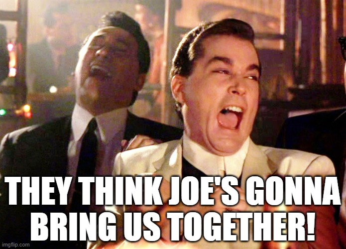 Good Fellas Hilarious Meme | THEY THINK JOE'S GONNA
BRING US TOGETHER! | image tagged in memes,good fellas hilarious | made w/ Imgflip meme maker