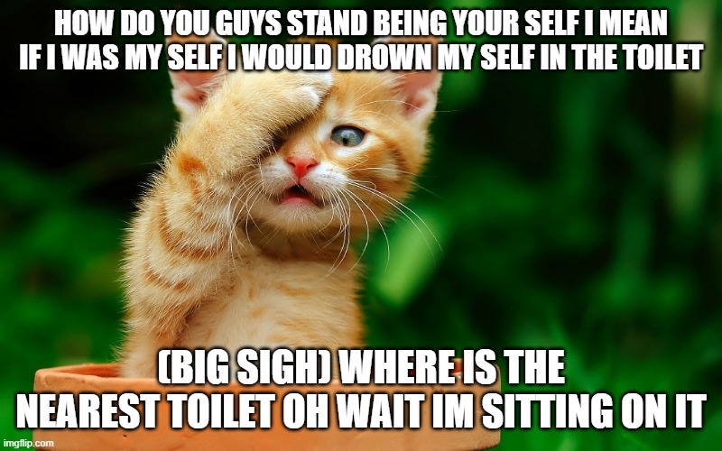 I JUST REALIZED | HOW DO YOU GUYS STAND BEING YOUR SELF I MEAN IF I WAS MY SELF I WOULD DROWN MY SELF IN THE TOILET; (BIG SIGH) WHERE IS THE NEAREST TOILET OH WAIT IM SITTING ON IT | image tagged in i just realized | made w/ Imgflip meme maker