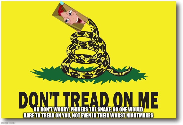 Forward Facing Phineas | OH DON'T WORRY, PHINEAS THE SNAKE, NO ONE WOULD DARE TO TREAD ON YOU, NOT EVEN IN THEIR WORST NIGHTMARES | image tagged in phineas and ferb | made w/ Imgflip meme maker