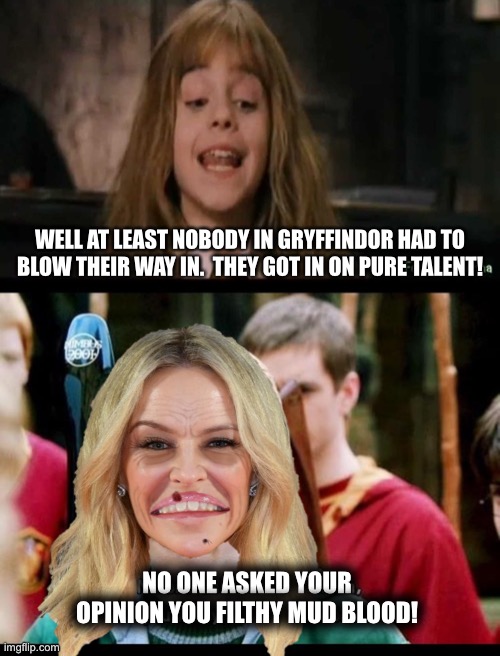 Kylie Minogue bruh | WELL AT LEAST NOBODY IN GRYFFINDOR HAD TO BLOW THEIR WAY IN.  THEY GOT IN ON PURE TALENT! NO ONE ASKED YOUR OPINION YOU FILTHY MUD BLOOD! | image tagged in hermione,draco malfoy,kylie minogue,funny | made w/ Imgflip meme maker