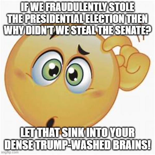 Fraudulent ballots... | IF WE FRAUDULENTLY STOLE THE PRESIDENTIAL ELECTION THEN WHY DIDN'T WE STEAL THE SENATE? LET THAT SINK INTO YOUR DENSE TRUMP-WASHED BRAINS! | image tagged in voting,voter fraud | made w/ Imgflip meme maker