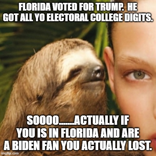 Whisper Sloth Meme | FLORIDA VOTED FOR TRUMP.  HE GOT ALL YO ELECTORAL COLLEGE DIGITS. SOOOO.......ACTUALLY IF YOU IS IN FLORIDA AND ARE A BIDEN FAN YOU ACTUALLY | image tagged in memes,whisper sloth | made w/ Imgflip meme maker