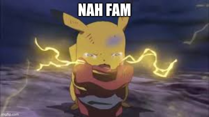 NAH FAM | made w/ Imgflip meme maker