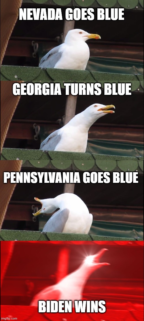 Yes bideen | NEVADA GOES BLUE; GEORGIA TURNS BLUE; PENNSYLVANIA GOES BLUE; BIDEN WINS | image tagged in memes,inhaling seagull,joe biden,screw trump,biden harris | made w/ Imgflip meme maker