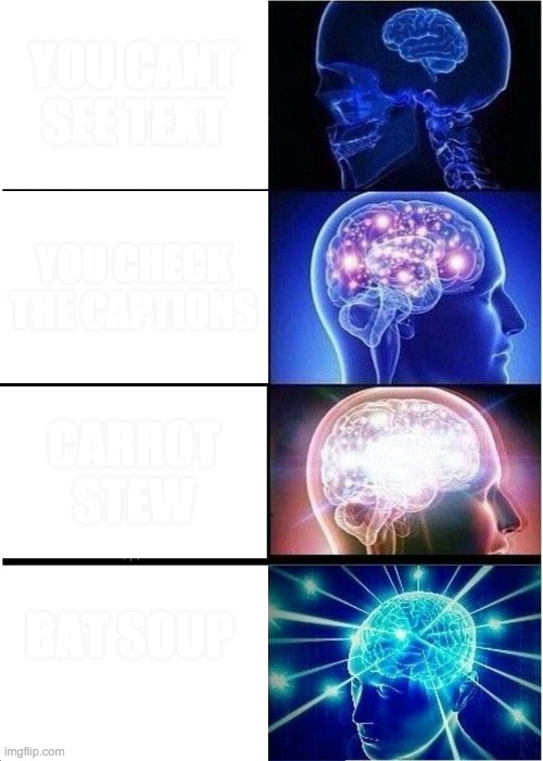 Expanding Brain | YOU CANT SEE TEXT; YOU CHECK THE CAPTIONS; CARROT STEW; BAT SOUP | image tagged in memes,expanding brain | made w/ Imgflip meme maker