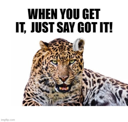 Leopard And Hearing Aid | image tagged in leopard and hearing aid | made w/ Imgflip meme maker