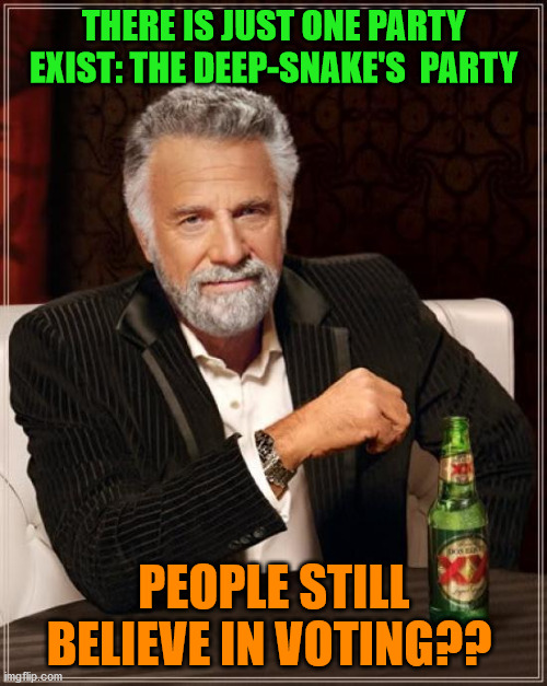 VOTING | THERE IS JUST ONE PARTY EXIST: THE DEEP-SNAKE'S  PARTY; PEOPLE STILL BELIEVE IN VOTING?? | image tagged in memes,the most interesting man in the world | made w/ Imgflip meme maker