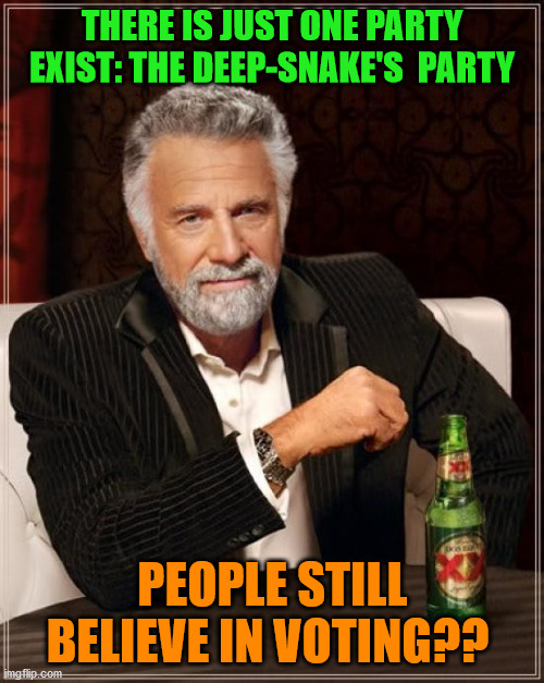 VOTING |  THERE IS JUST ONE PARTY EXIST: THE DEEP-SNAKE'S  PARTY; PEOPLE STILL BELIEVE IN VOTING?? | image tagged in memes,the most interesting man in the world | made w/ Imgflip meme maker