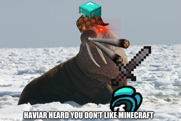 You better watch out |  HAVIAR HEARD YOU DON'T LIKE MINECRAFT | image tagged in funny,fun,lol | made w/ Imgflip meme maker