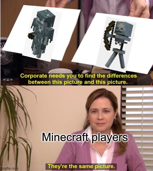 There the same | Minecraft players | image tagged in memes,they're the same picture,minecraft,funny memes | made w/ Imgflip meme maker