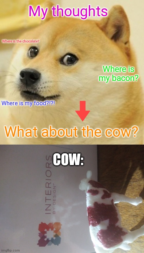 My thoughts; Where is the chocolate? Where is my bacon? Where is my food?!?! What about the cow? COW: | image tagged in memes,doge | made w/ Imgflip meme maker