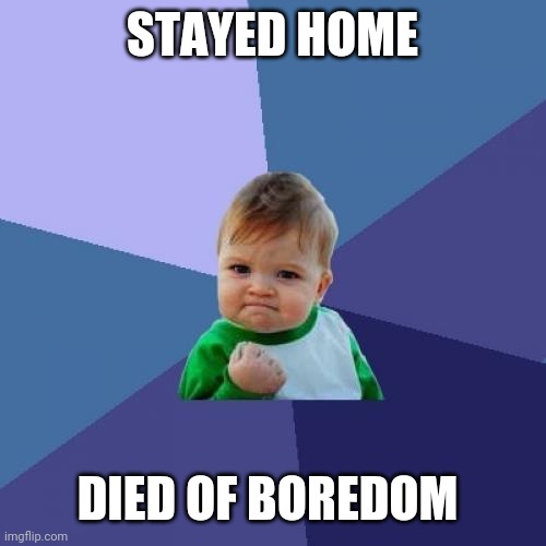Success Kid Meme | STAYED HOME DIED OF BOREDOM | image tagged in memes,success kid | made w/ Imgflip meme maker