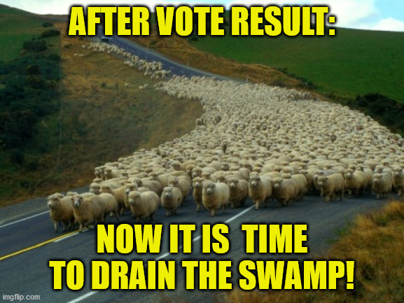 Early Voting |  AFTER VOTE RESULT:; NOW IT IS  TIME TO DRAIN THE SWAMP! | image tagged in early voting | made w/ Imgflip meme maker