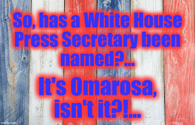 Red white blue | So, has a White House
Press Secretary been
named?... It's Omarosa,
isn't it?!... | image tagged in red white blue,white house,press,secretary,biden | made w/ Imgflip meme maker