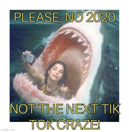 Please no 2020 tik tok | image tagged in 2020,tik tok,tik tok sucks,stupid people,sharks | made w/ Imgflip meme maker