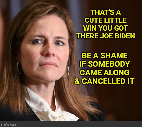 Amy Coney Barret | THAT'S A CUTE LITTLE WIN YOU GOT THERE JOE BIDEN; BE A SHAME IF SOMEBODY CAME ALONG & CANCELLED IT | image tagged in amy coney barret | made w/ Imgflip meme maker