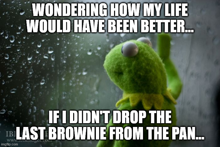 kermit window | WONDERING HOW MY LIFE WOULD HAVE BEEN BETTER... IF I DIDN'T DROP THE LAST BROWNIE FROM THE PAN... | image tagged in kermit window | made w/ Imgflip meme maker