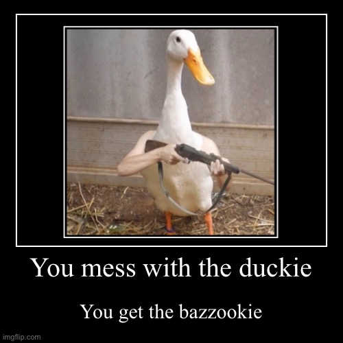 Don’t mess with the duck | image tagged in funny,duck | made w/ Imgflip demotivational maker