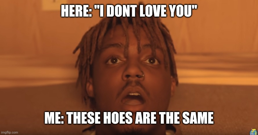 Well... Not lying | HERE: "I DONT LOVE YOU"; ME: THESE HOES ARE THE SAME | image tagged in shocked juice wrld | made w/ Imgflip meme maker