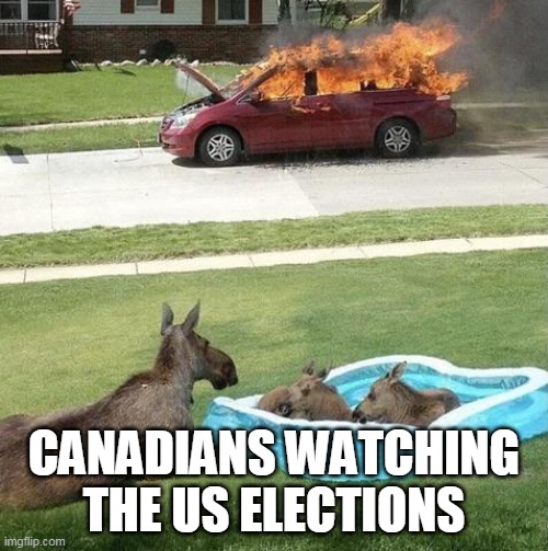 Canadians watching the US elections | CANADIANS WATCHING THE US ELECTIONS | image tagged in donkeys watching car burn,us elections,canada,2020 elections,funny | made w/ Imgflip meme maker
