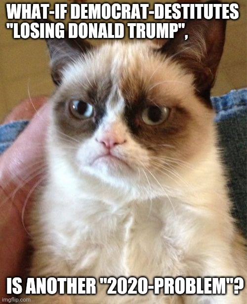 Who Is Going To Give Taxes To The Federal-Government? | WHAT-IF DEMOCRAT-DESTITUTES 
"LOSING DONALD TRUMP", IS ANOTHER "2020-PROBLEM"? | image tagged in memes,grumpy cat | made w/ Imgflip meme maker