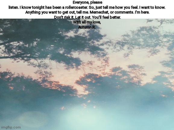 Everyone, please listen. I know tonight has been a rollercoaster. So, just tell me how you feel. I want to know. 

Anything you want to get out, tell me. Memechat, or comments. I'm here.

Don't risk it. Let it out. You'll feel better.

With all my love, 
Autumn R. | made w/ Imgflip meme maker
