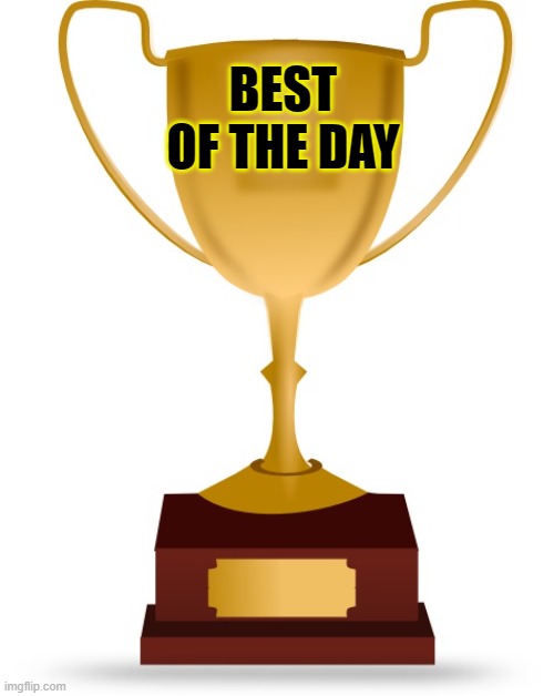 Blank Trophy | BEST OF THE DAY | image tagged in blank trophy | made w/ Imgflip meme maker
