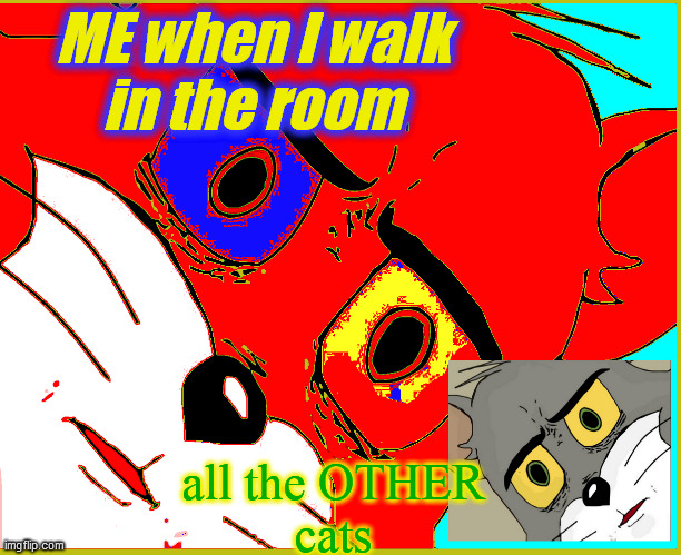 Redd. Tom. CAT. | ME when I walk
in the room; all the OTHER
cats | image tagged in red tom,cat,king of the jungle,kitty got claws,catfight,2020 election | made w/ Imgflip meme maker