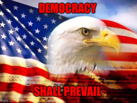 American Flag | DEMOCRACY; SHALL PREVAIL | image tagged in american flag | made w/ Imgflip meme maker
