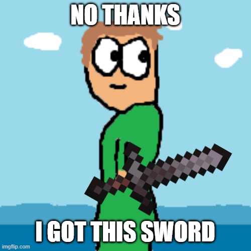 x all the y | NO THANKS I GOT THIS SWORD | image tagged in x all the y | made w/ Imgflip meme maker