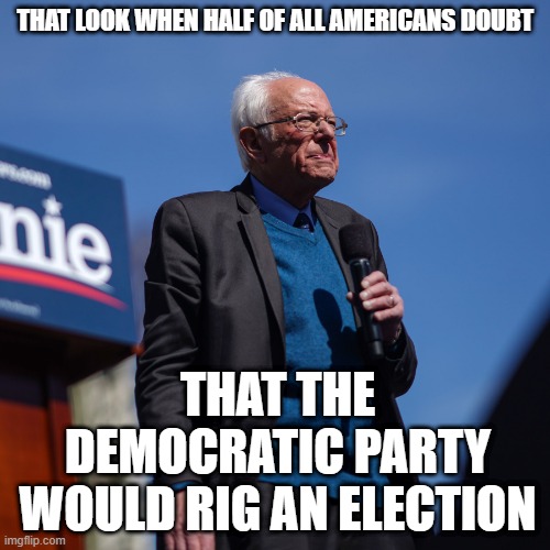 THAT LOOK WHEN HALF OF ALL AMERICANS DOUBT; THAT THE DEMOCRATIC PARTY WOULD RIG AN ELECTION | image tagged in theft | made w/ Imgflip meme maker