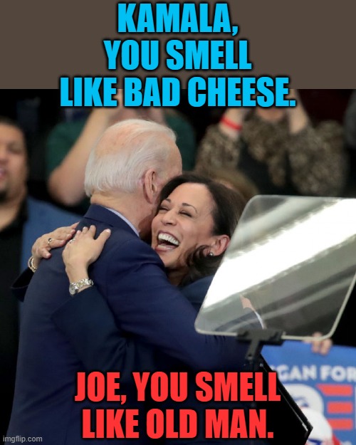 Joe Biden Kamala Harris | KAMALA, YOU SMELL LIKE BAD CHEESE. JOE, YOU SMELL LIKE OLD MAN. | image tagged in joe biden kamala harris | made w/ Imgflip meme maker