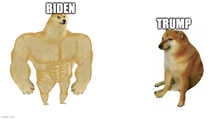 Buff Doge vs Crying Cheems | TRUMP; BIDEN | image tagged in buff doge vs crying cheems | made w/ Imgflip meme maker