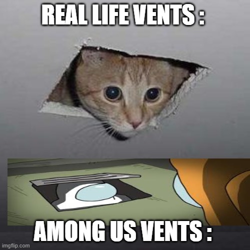 Ceiling Cat Meme | REAL LIFE VENTS :; AMONG US VENTS : | image tagged in memes,ceiling cat | made w/ Imgflip meme maker