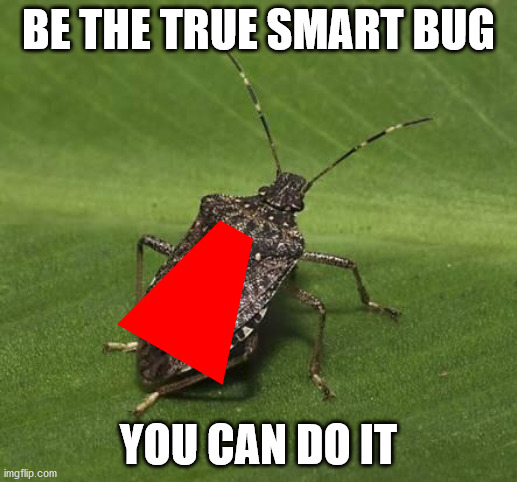 BE THE TRUE SMART BUG | BE THE TRUE SMART BUG; YOU CAN DO IT | image tagged in stink bug | made w/ Imgflip meme maker