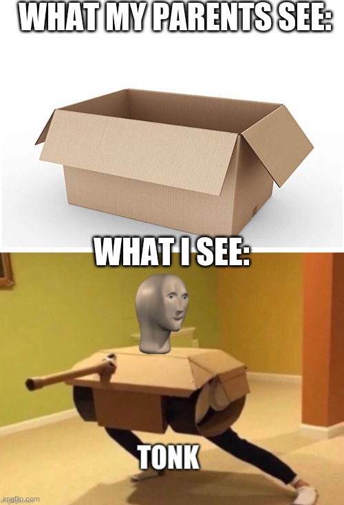 tonk | WHAT MY PARENTS SEE:; WHAT I SEE: | image tagged in tonk,meme man,memes,funny,box,idk | made w/ Imgflip meme maker