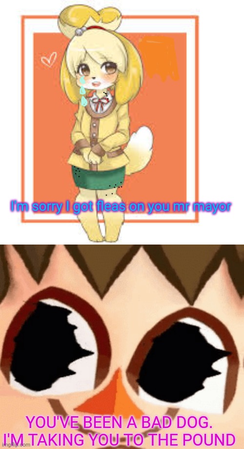Isabelle has fleas | I'm sorry I got fleas on you mr mayor; YOU'VE BEEN A BAD DOG. I'M TAKING YOU TO THE POUND | image tagged in animal crossing,evil,mayor,isabelle,dogs,fleas | made w/ Imgflip meme maker