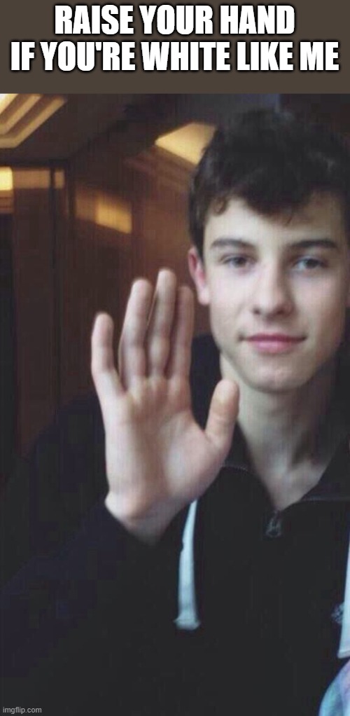 White Like Me | RAISE YOUR HAND IF YOU'RE WHITE LIKE ME | image tagged in raise your hand,white,shawn mendes,hand,funny,wtf | made w/ Imgflip meme maker
