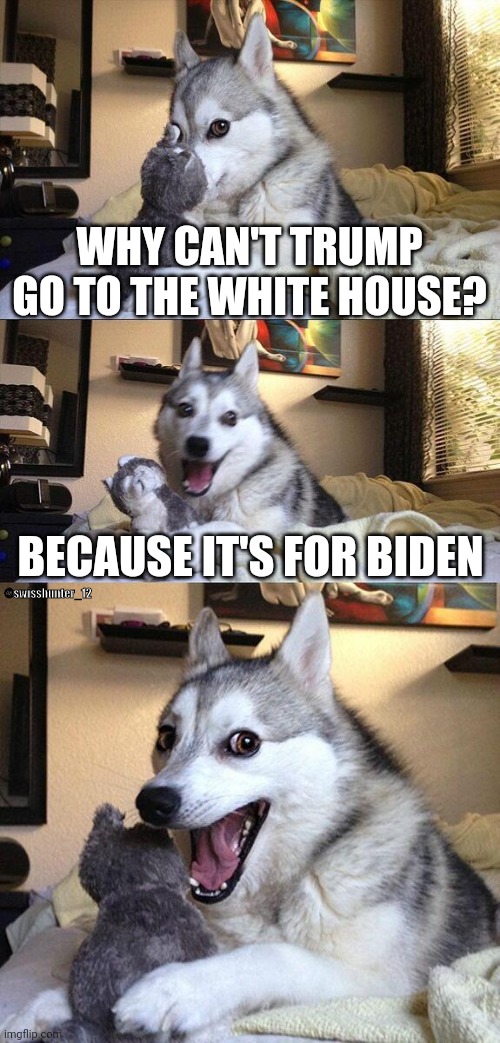 I hate myself for making this | WHY CAN'T TRUMP GO TO THE WHITE HOUSE? BECAUSE IT'S FOR BIDEN; @swisshunter_12 | image tagged in memes,bad pun dog | made w/ Imgflip meme maker