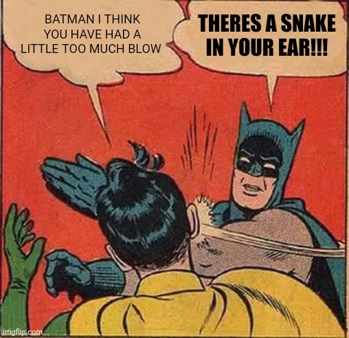 Batmans addiction | BATMAN I THINK YOU HAVE HAD A LITTLE TOO MUCH BLOW; THERES A SNAKE IN YOUR EAR!!! | image tagged in memes,batman slapping robin | made w/ Imgflip meme maker