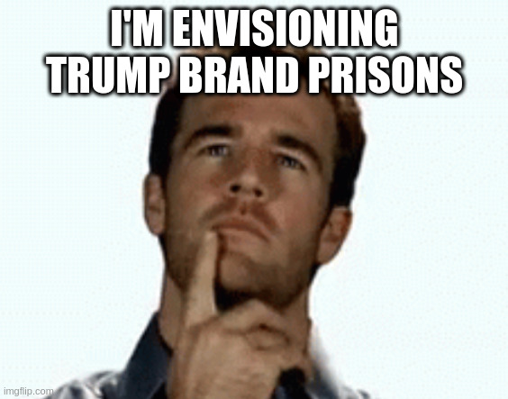if everything works out the way he wants ... | I'M ENVISIONING TRUMP BRAND PRISONS | image tagged in interesting | made w/ Imgflip meme maker