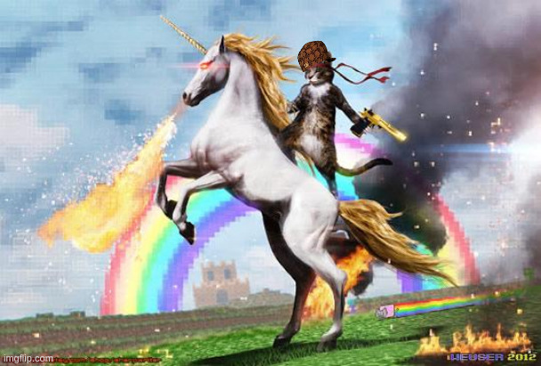 wow look trump is winning the election | image tagged in cat riding unicorn | made w/ Imgflip meme maker