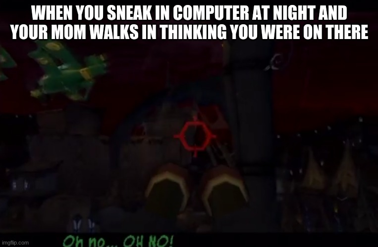 NOOOOOOO | WHEN YOU SNEAK IN COMPUTER AT NIGHT AND YOUR MOM WALKS IN THINKING YOU WERE ON THERE | image tagged in sly cooper oh no bentley,computer,mom | made w/ Imgflip meme maker