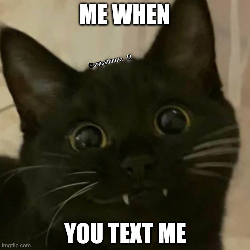 Wholesome Cat | ME WHEN; @swisshunter_12; YOU TEXT ME | image tagged in smiling cat | made w/ Imgflip meme maker