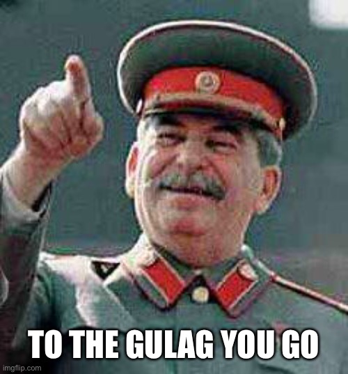 Stalin says | TO THE GULAG YOU GO | image tagged in stalin says | made w/ Imgflip meme maker