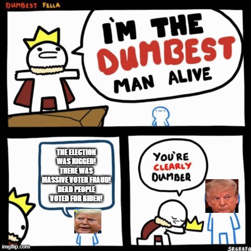I'm the dumbest man alive | THE ELECTION WAS RIGGED! THERE WAS MASSIVE VOTER FRAUD! DEAD PEOPLE VOTED FOR BIDEN! | image tagged in i'm the dumbest man alive | made w/ Imgflip meme maker
