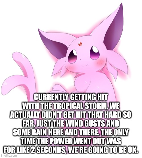 I’ll update ya later incase something serious happens | CURRENTLY GETTING HIT WITH THE TROPICAL STORM, WE ACTUALLY DIDN’T GET HIT THAT HARD SO FAR, JUST THE WIND GUSTS AND SOME RAIN HERE AND THERE. THE ONLY TIME THE POWER WENT OUT WAS FOR LIKE 2 SECONDS, WE’RE GOING TO BE OK. | made w/ Imgflip meme maker